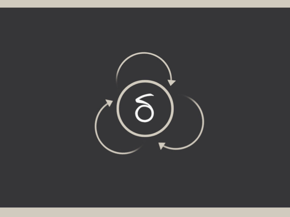 The Digital Feedback Loop: Understanding How Reviews, Images, Videos & Content Shape Your Online Representation